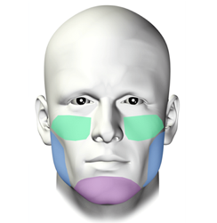 Facial Contouring - Lip Doctor